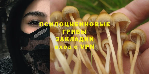 соль курить ск Бородино