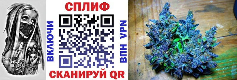 Купить где  Урень  Бошки Шишки семена 